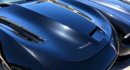 dodge viper charger protection