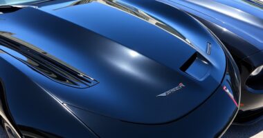 dodge viper charger protection
