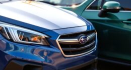 subaru outback forester protection