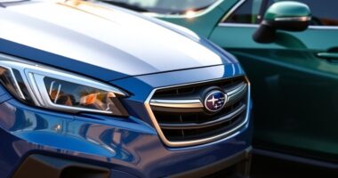 subaru outback forester protection