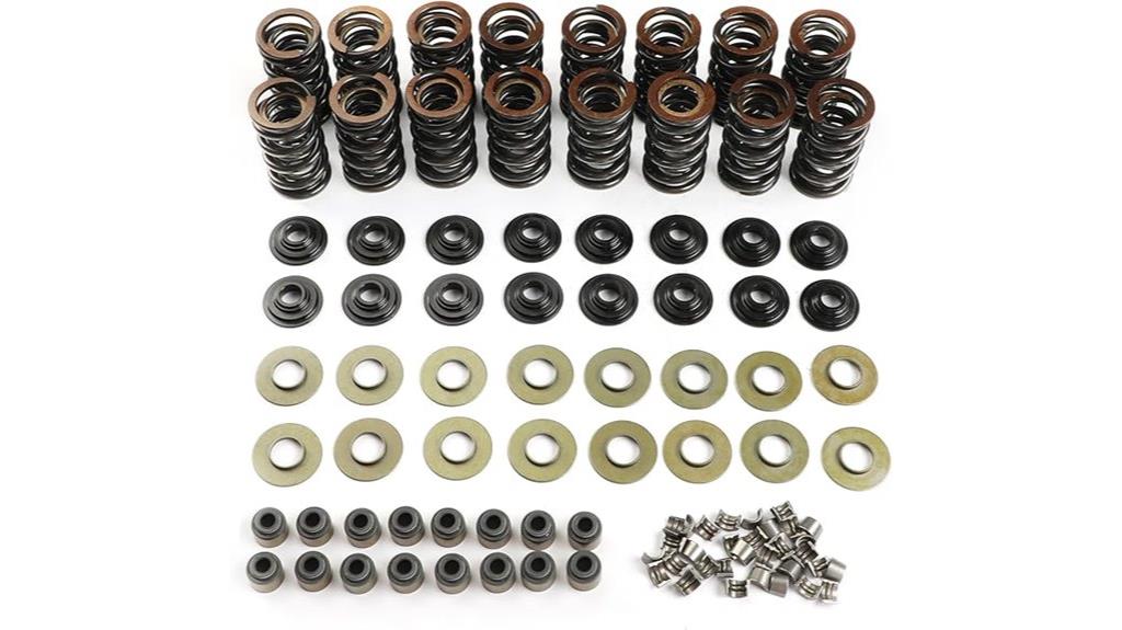 dual valve spring platinum kit