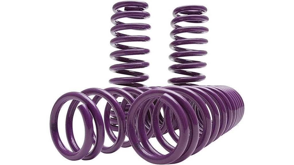 tesla model 3 lowering springs