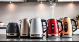top electric kettles with temperature control