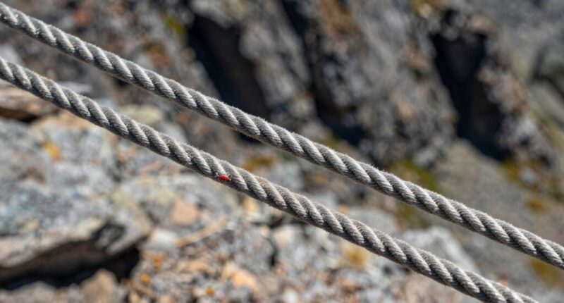 kinetic vs static ropes