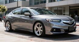 top acura tlx coilovers
