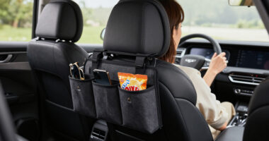 11 Best Car Seat Organizer in 2026