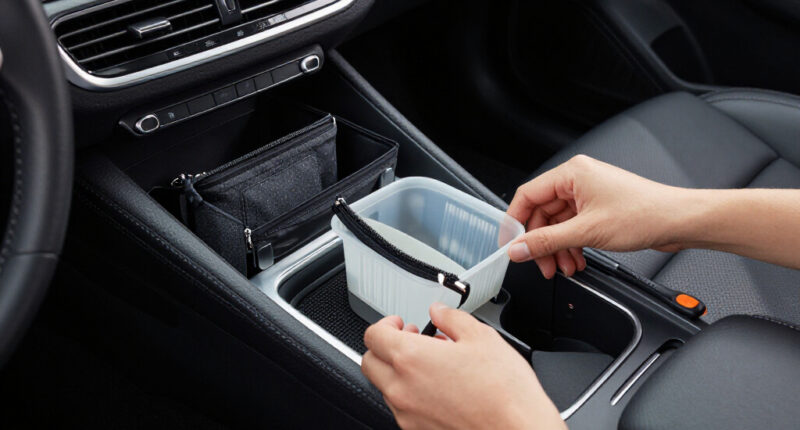 10 Best Car Interior Organizers in 2026